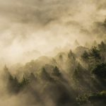 Pesona Kabut: Misteri dan Keindahan Alam Pagi Hari