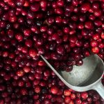 Kandungan Cranberry yang Kaya Nutrisi dan Manfaat Besarnya untuk Kesehatan Tubuh